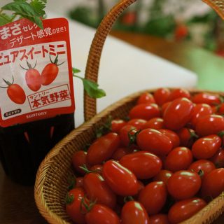 ブロガーイベント：サントリー本気野菜「”食べてみたい、を育てよう！”トマトの世界」 in 六本木農園に行ってきた。