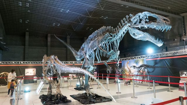 「えひめ大恐竜博」で恐竜の化石を触ったりアンモナイト発掘体験！年末年始もやってて良いぞ！