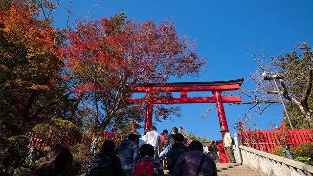 子どもと秋の高尾山！頂上からの富士山や美しい紅葉を堪能したぞ！【PR】 #たま発 #tamahatsu #多摩の魅力発信プロジェクト #高尾山