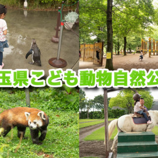「埼玉県こども動物自然公園」は自然と遊具と動物いっぱいで子連れで1日楽しめるぞ！