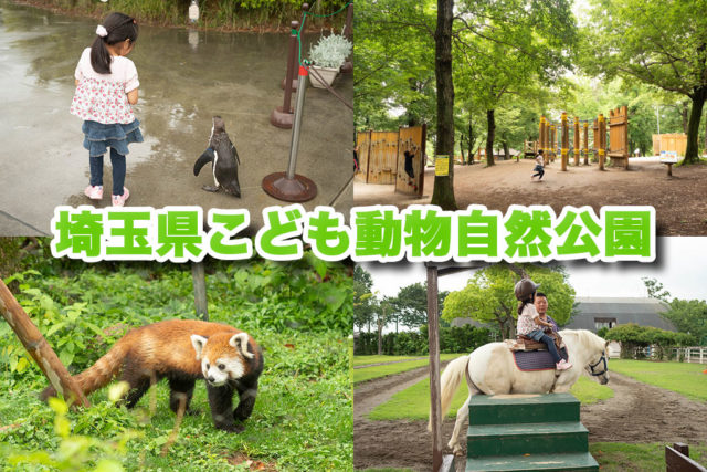 埼玉県こども動物自然公園 は自然と遊具と動物いっぱいで子連れで1日楽しめるぞ むねさだブログ