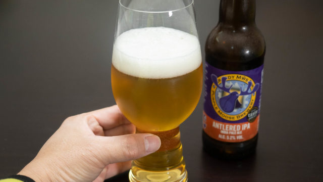 IPAビールを飲むなら！IPA専用のビールグラスで飲むと香りが引き立つぞ！