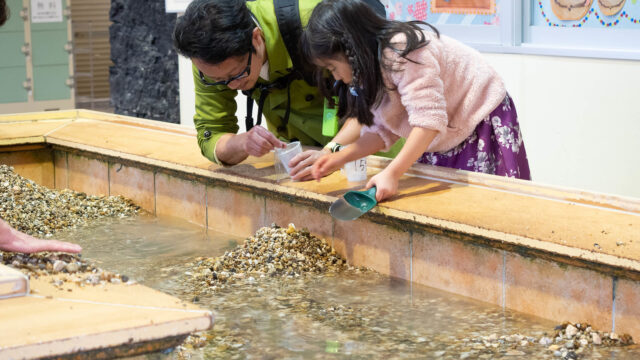 宝石探し体験ができる静岡県富士宮市「奇石博物館」の宝石わくわく広場が楽しいぞ！