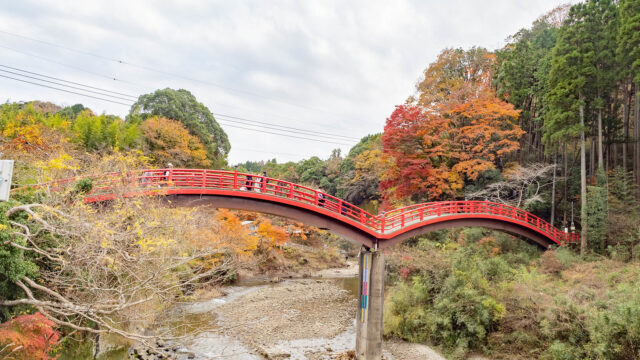 12月頭の今がベスト！千葉県の養老渓谷で美しい紅葉を堪能したぞ！