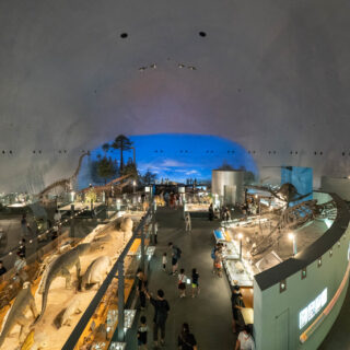 世界三大恐竜博物館の1つ！福井県立恐竜博物館の2F・3Fの展示を紹介するぞ！