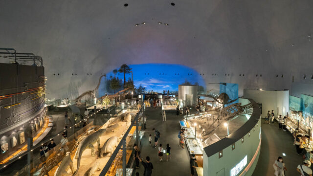 世界三大恐竜博物館の1つ！福井県立恐竜博物館の2F・3Fの展示を紹介するぞ！