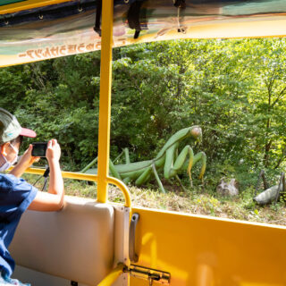福井「かつやま恐竜の森」の「巨大昆虫冒険ツアー」は昆虫好きの大人も子どもも楽しめるぞ！
