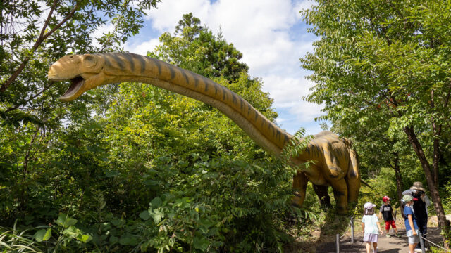 福井「かつやま恐竜の森」にある「かつやまディノパーク」で等身大の恐竜に森の中で出会えるぞ！