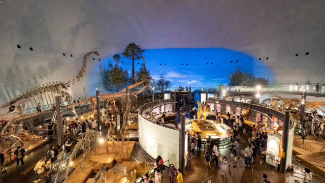 「かつやま恐竜の森」は、福井県立恐竜博物館・恐竜の化石発掘・ディノパークと見所たくさんだぞ！