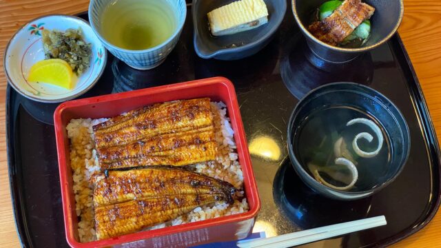 愛媛県でうなぎを食べるなら！「河内屋」がふっくらしていて美味しいぞ！