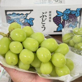 【ふるさと納税】長野県 須坂市の返礼品、シャインマスカットが思った以上に品質が良く大満足だぞ！