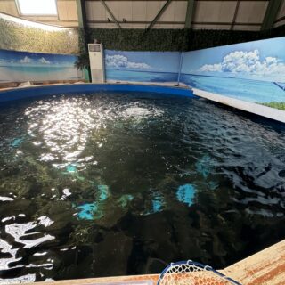 釣って見つけるぼうけんの国 湘南釣堀が、釣り好きなら1日あっても足りないほど楽しいぞ！