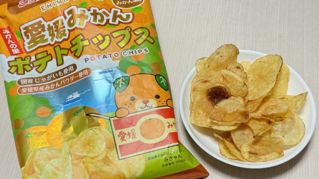 愛媛のご当地ポテチ！愛媛みかんポテトチップスがほんのりみかん味で不思議な感じだぞ！