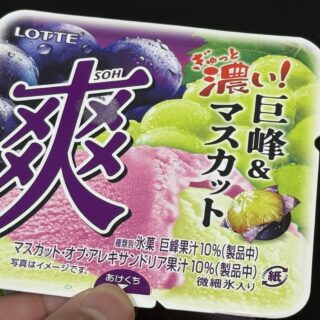 ロッテ 爽 巨峰＆マスカットが、めっちゃジューシーで美味しいぞ！