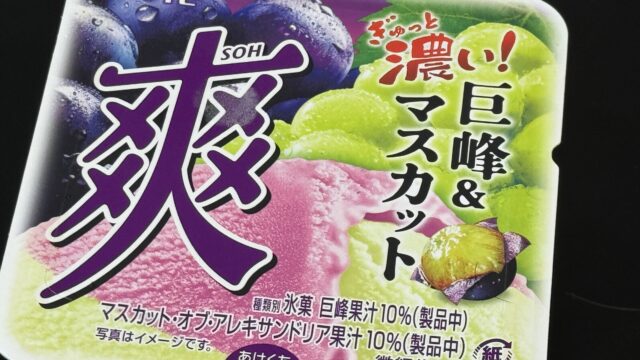 ロッテ 爽 巨峰＆マスカットが、めっちゃジューシーで美味しいぞ！