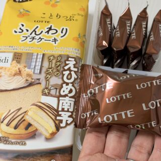 ことりっぷ ふんわりプチケーキ＜リディのチーズケーキ＞が優しい味で美味しいぞ！