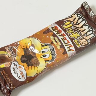 ガリガリ君リッチ 四角チョコパイがサクッとガリッとトロッとして美味しいぞ！