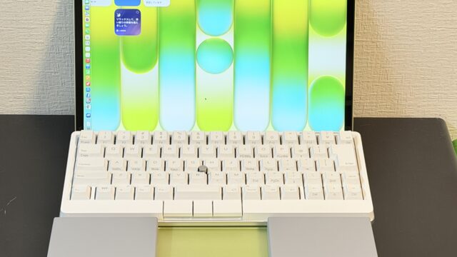 HHKB尊師スタイルな人向け！？バード電子 セパレート型シリコンタイピングベッドが手放せないぞ！