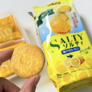 東ハト「ソルティ 瀬戸内レモン」が酸味と塩味としっとり食感で美味しいぞ！