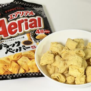 エアリアル ブラックペッパー味がピリッとスパイシーでおつまみに最高だぞ！
