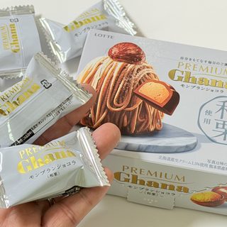 新商品！プレミアムガーナ モンブランショコラ＜和栗＞が上品な味わいで美味しいぞ！